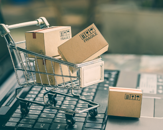 Explore Our Extensive Product Range